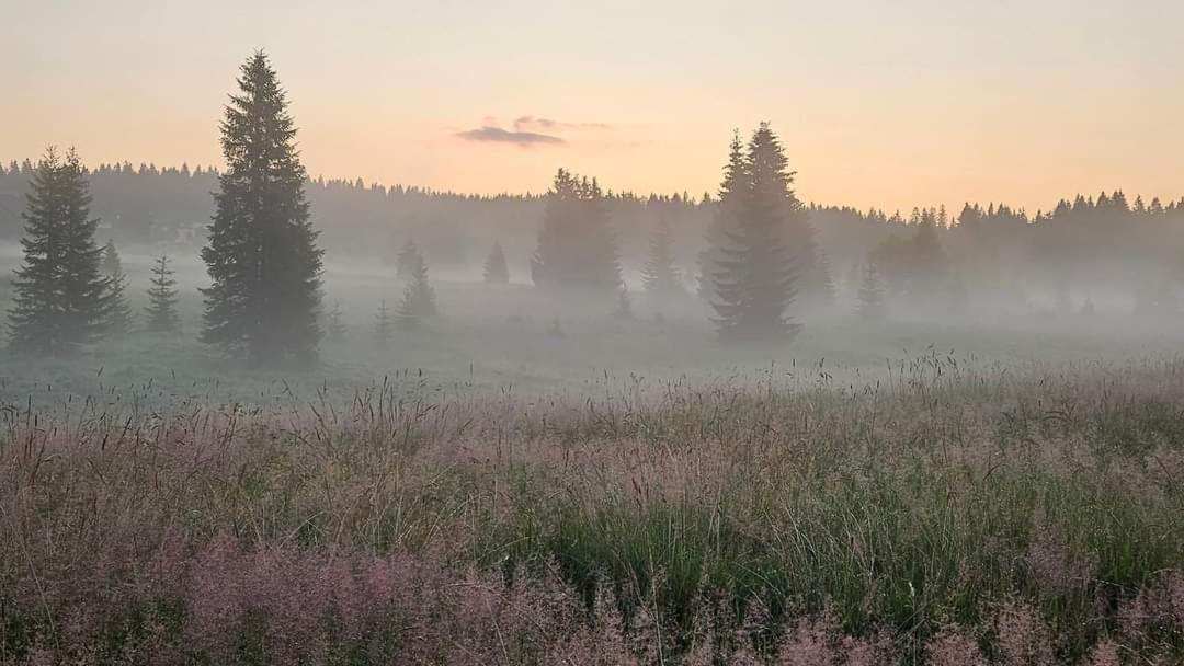 Ubytovani U Krizku Modrava Exteriör bild