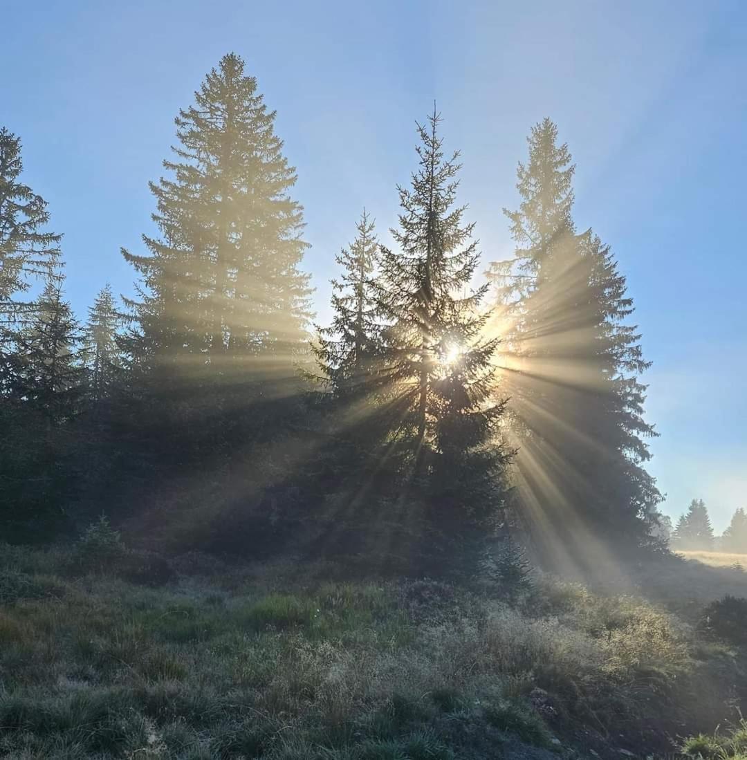 Ubytovani U Krizku Modrava Exteriör bild