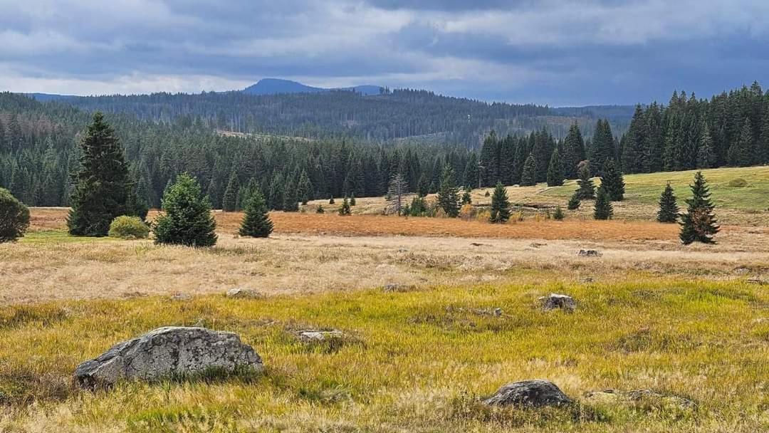 Ubytovani U Krizku Modrava Exteriör bild