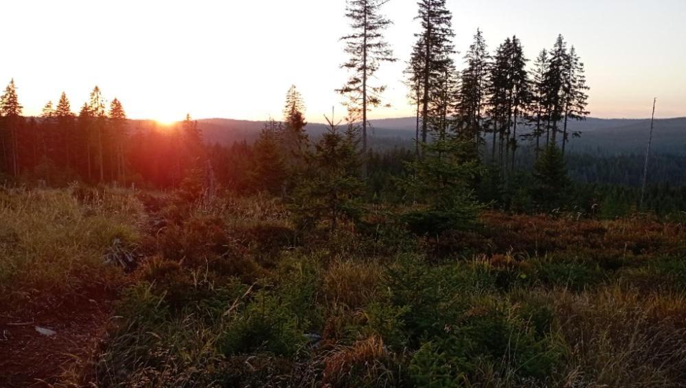 Ubytovani U Krizku Modrava Exteriör bild