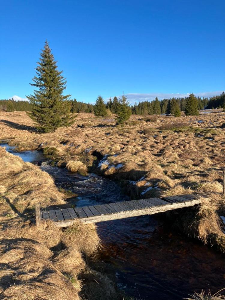 Ubytovani U Krizku Modrava Exteriör bild