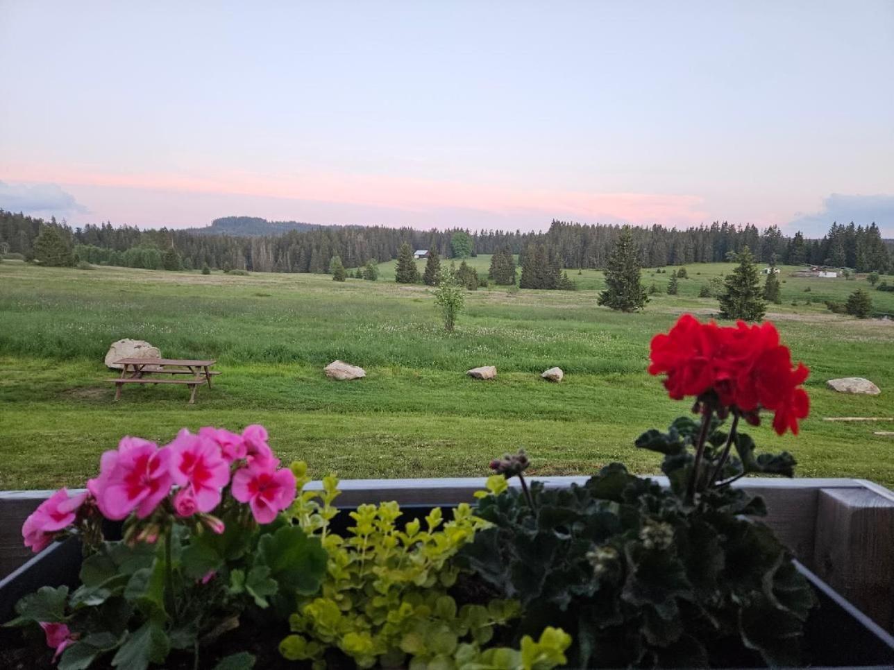 Ubytovani U Krizku Modrava Exteriör bild